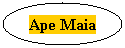 Ovale: Ape Maia
